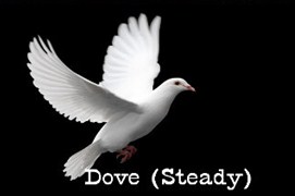Picture of a dove